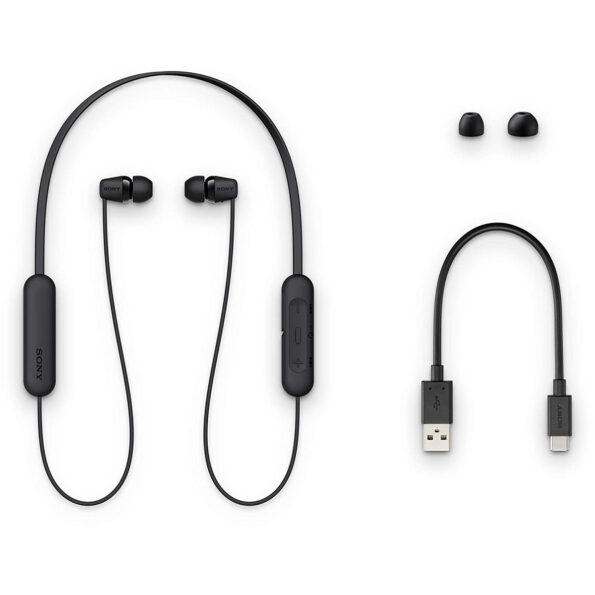 SONY WI-C200 Wireless In-Ear Headphones