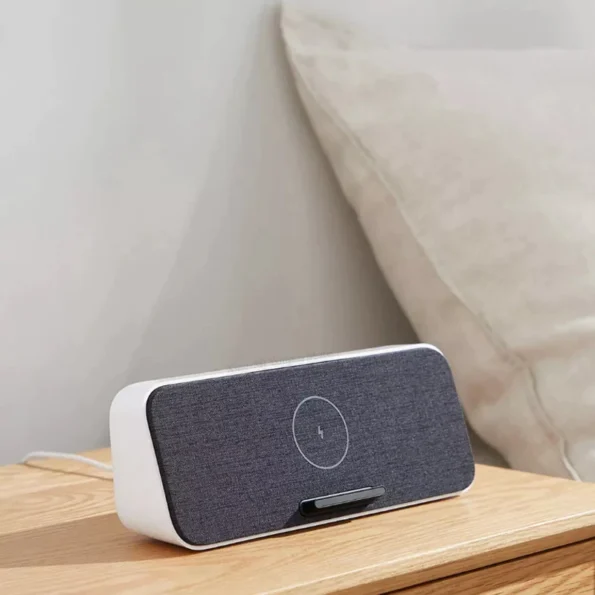 Xiaomi 30W Max Wireless Charge Bluetooth Speaker