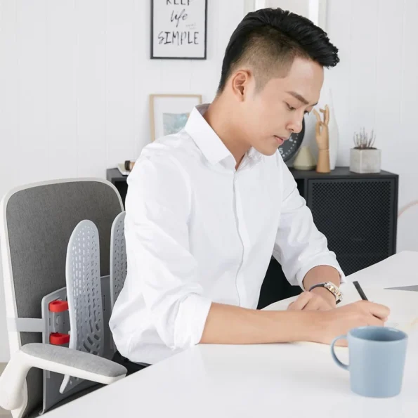 Xiaomi Youpin Leband Adjustable Ergonomic Back Support