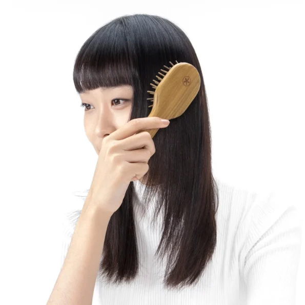 Xiaomi SMATE Hair Care Massage Comb Natural Wood Comb