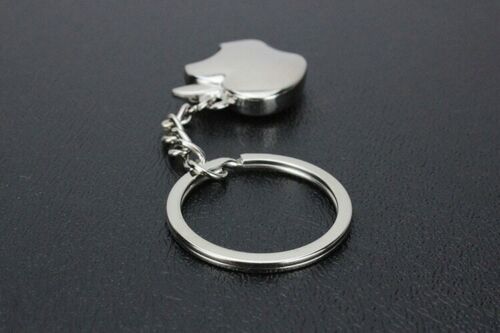 Novelty Souvenir Apple Metal Key Chain Ring