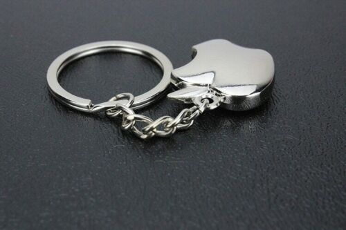 Novelty Souvenir Apple Metal Key Chain Ring