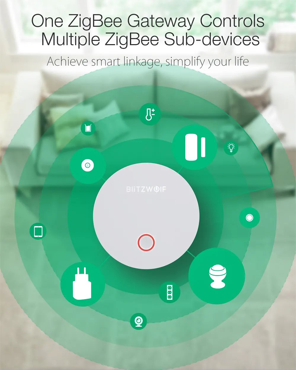 BlitzWolf BW-SHP13 Smart WiFi Socket Plug Remote Controller