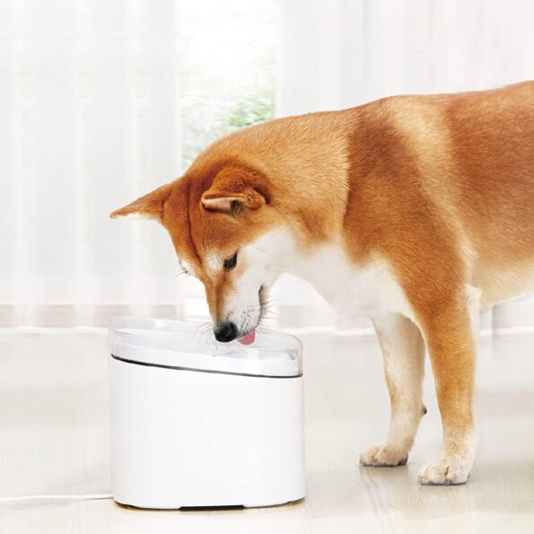 Xiaomi Smart Pet Fountain Dog Cat Pet Mute Drink Feeder Bowl